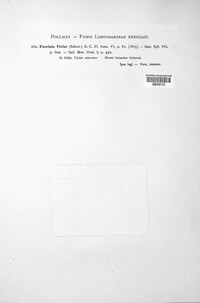 Puccinia violae image